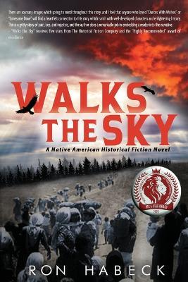 Walks The Sky - Ron Habeck - cover