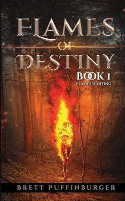 Flames of Destiny Book 1: Flames Igniting: Flames Igniting - Brett Puffinburger - cover