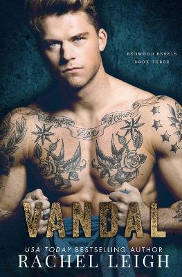 Vandal: A Dark Bully Romance - Rachel Leigh - cover