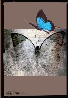 Beautiful Butterfly - Tbrad Designs - cover