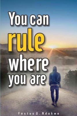 You Can Rule Where You Are - Festus Ndukwe - cover