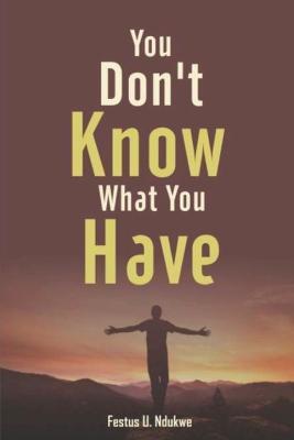 You Don't Know What You have - Festus Ndukwe - cover