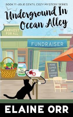 Underground in Ocean Alley - Elaine L Orr - cover