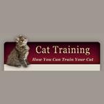How to Train Your Cat