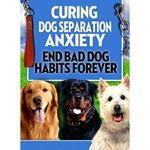 Dog Training: Curing Dog Separation Anxiety