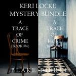 Kate Wise Mystery Bundle, A: If She Hid (#4) and If She Fled (#5)
