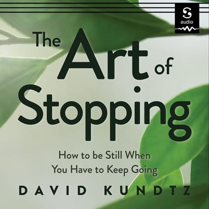 Art of Stopping, The