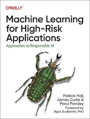 Machine Learning for High-Risk Applications: Approaches to Responsible AI - Patrick Hall,James Curtis,Parul Pandey - cover