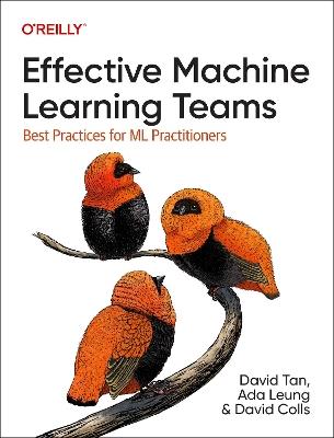 Effective Machine Learning Teams: Best Practices for ML Practitioners - David Tan,Ada Leung,David Colls - cover