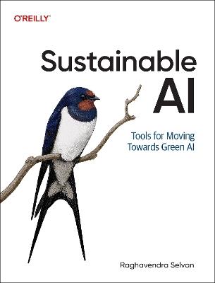 Sustainable AI: Tools for Moving Towards Green AI - Raghavendra Selvan - cover