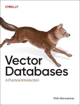 Vector Databases: A Practical Introduction - Nitin Borwankar - cover
