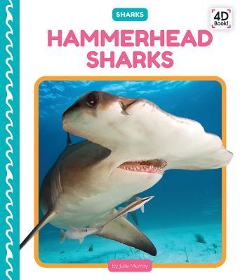 Hammerhead Sharks - Julie Murray - cover
