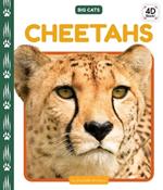 Cheetahs