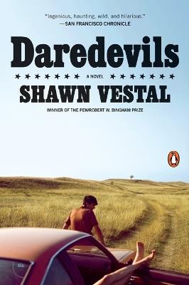 Daredevils: A Novel - Shawn Vestal - cover