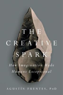 The Creative Spark: How Imagination Made Humans Exceptional - Agustin Fuentes - cover