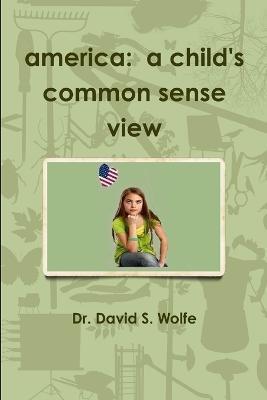 America: A Child's Common Sense View - David Wolfe - cover