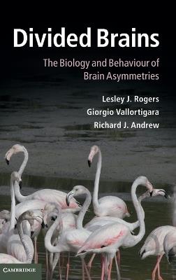Divided Brains: The Biology and Behaviour of Brain Asymmetries - Lesley J. Rogers,Giorgio Vallortigara,Richard J. Andrew - cover