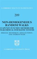 Non-homogeneous Random Walks: Lyapunov Function Methods for Near-Critical Stochastic Systems - Mikhail Menshikov,Serguei Popov,Andrew Wade - cover