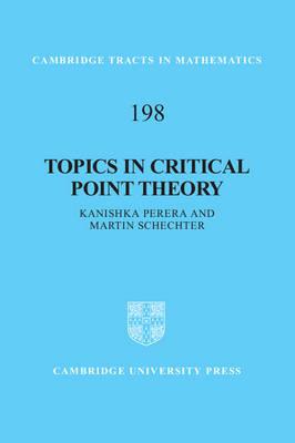Topics in Critical Point Theory - Kanishka Perera,Martin Schechter - cover