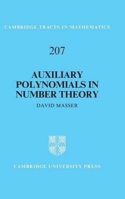 Auxiliary Polynomials in Number Theory - David Masser - cover