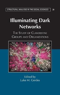 Illuminating Dark Networks: The Study of Clandestine Groups and Organizations - cover