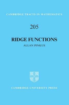 Ridge Functions - Allan Pinkus - cover