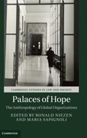 Palaces of Hope: The Anthropology of Global Organizations - cover