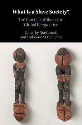 What Is a Slave Society?: The Practice of Slavery in Global Perspective - cover