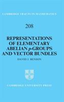 Representations of Elementary Abelian p-Groups and Vector Bundles - David J. Benson - cover