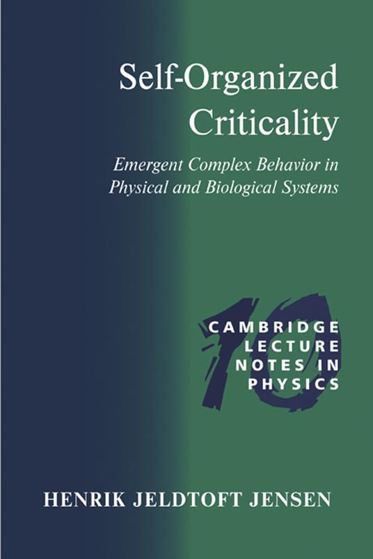 Self-Organized Criticality