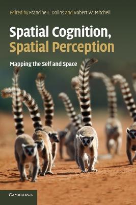 Spatial Cognition, Spatial Perception: Mapping the Self and Space - cover