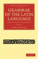 Grammar of the Latin Language: From Plautus to Suetonius - Henry John Roby - cover
