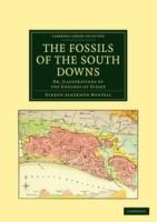 The Fossils of the South Downs: Or, Illustrations of the Geology of Sussex - Gideon Algernon Mantell - cover