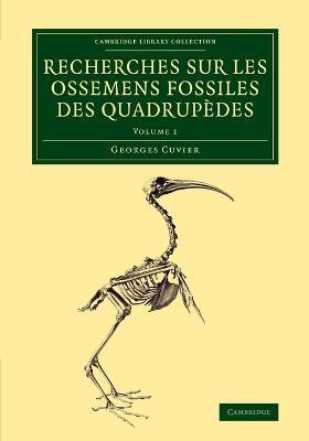 Recherches sur les ossemens fossiles des quadrupedes - Georges Cuvier - cover