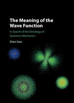 The Meaning of the Wave Function