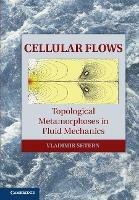 Cellular Flows: Topological Metamorphoses in Fluid Mechanics - Vladimir Shtern - cover