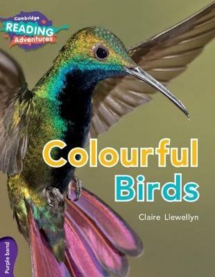 Cambridge Reading Adventures Colourful Birds Purple Band - Claire Llewellyn - cover