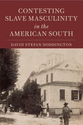 Contesting Slave Masculinity in the American South - David Stefan Doddington - cover