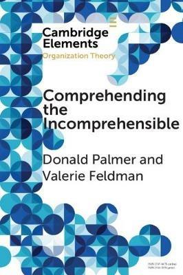 Comprehending the Incomprehensible: Organization Theory and Child Sexual Abuse in Organizations - Donald Palmer,Valerie Feldman - cover