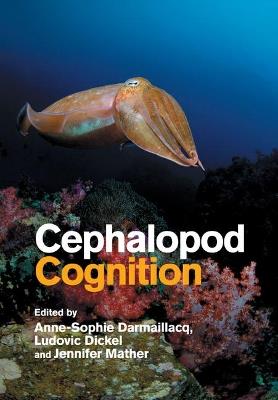 Cephalopod Cognition - cover