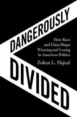 Dangerously Divided: How Race and Class Shape Winning and Losing in American Politics - Zoltan L. Hajnal - cover