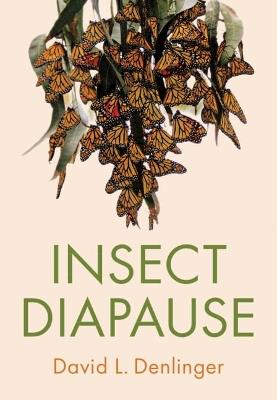Insect Diapause - David L. Denlinger - cover