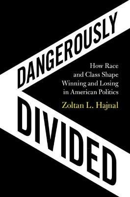 Dangerously Divided: How Race and Class Shape Winning and Losing in American Politics - Zoltan L. Hajnal - cover