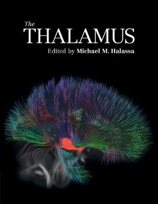 The Thalamus - cover