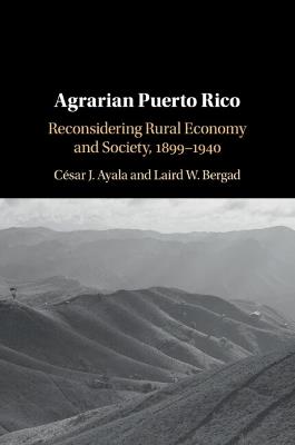 Agrarian Puerto Rico: Reconsidering Rural Economy and Society, 1899–1940 - César J. Ayala,Laird W. Bergad - cover