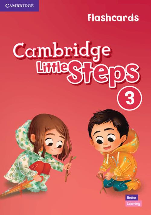 Cambridge Little Steps Level 3 Flashcards - cover