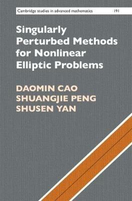 Singularly Perturbed Methods for Nonlinear Elliptic Problems - Daomin Cao,Shuangjie Peng,Shusen Yan - cover