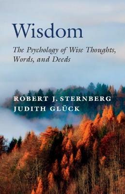 Wisdom: The Psychology of Wise Thoughts, Words, and Deeds - Robert J. Sternberg,Judith Glück - cover