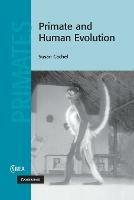 Primate and Human Evolution - Susan Cachel - cover