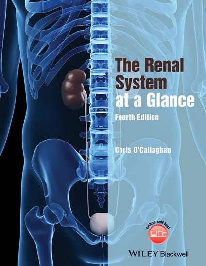 The Renal System at a Glance